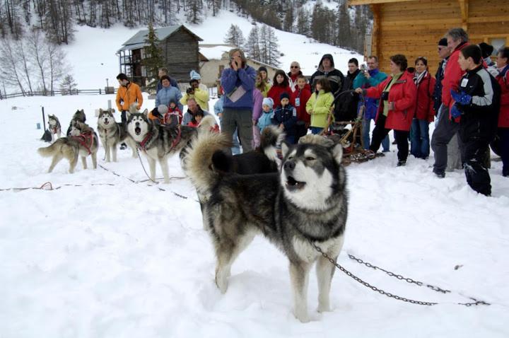 Le Chalet Du Queyras And Spa Molines-en-Queyras Eksteriør billede