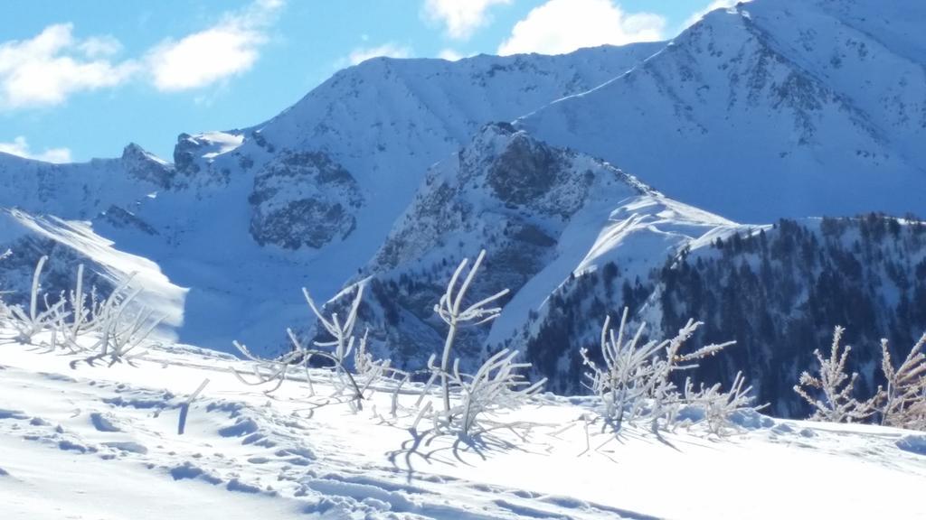 Le Chalet Du Queyras And Spa Molines-en-Queyras Eksteriør billede